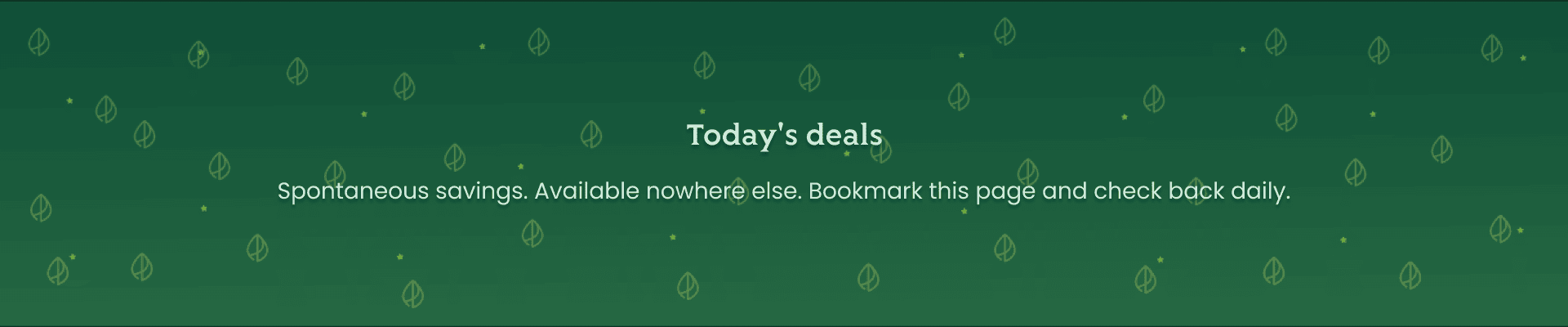 Dec Christmas Discount